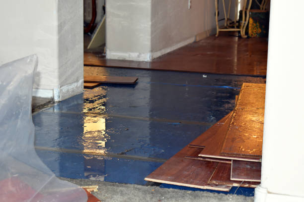 Professional Sewage Cleanup technician working in Clare, IL